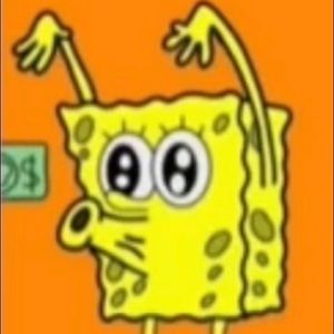 Meet your Posher, Zander